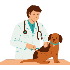 Veterinary Doctor