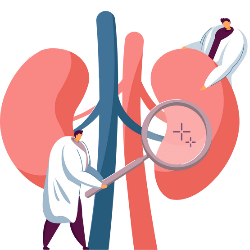 Nephrologist(kidney)